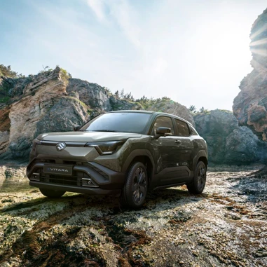 Suzuki E VITARA 2025 Terraen