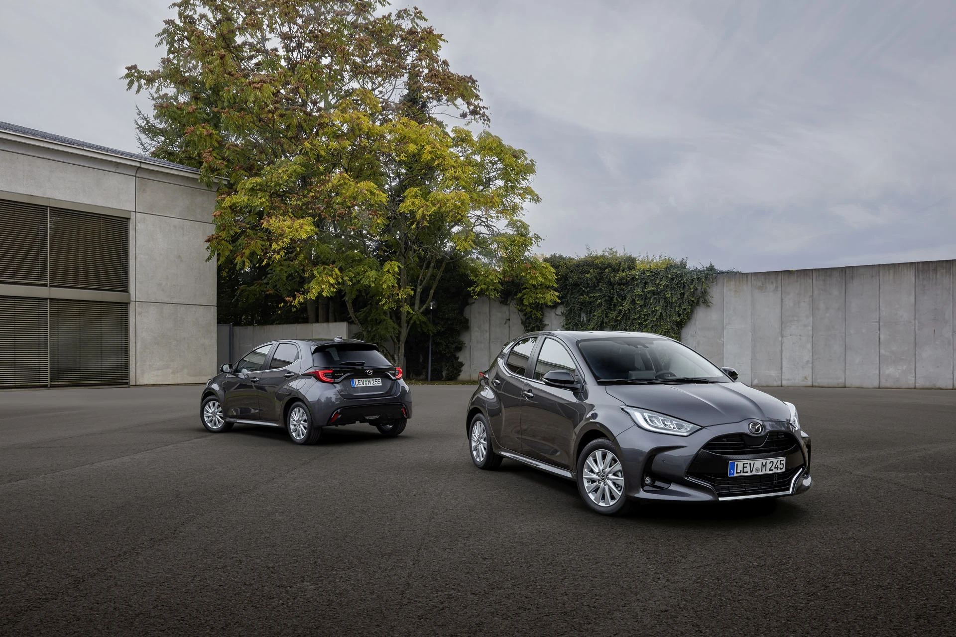 MAZDA2 HYBRID 068