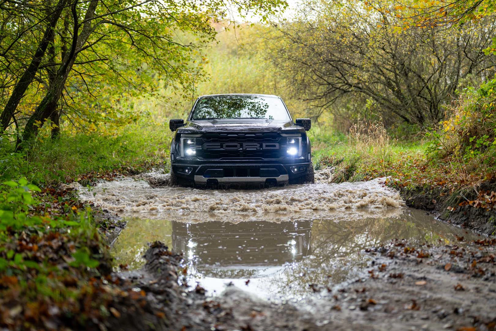 Bjarne Nielsen Ford F150 Skov (65)