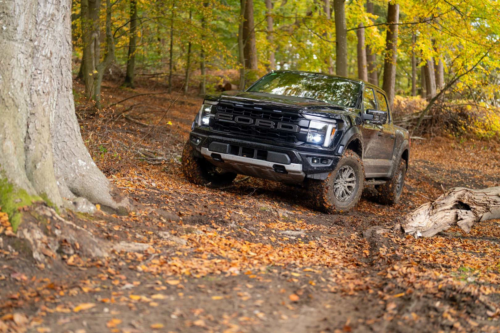 Bjarne Nielsen Ford F150 Skov (31)